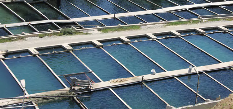 Oxygen Aquaculture System